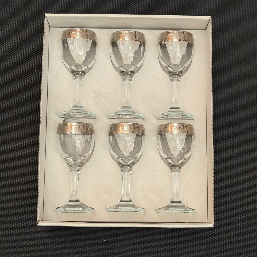Set of 6 Vintage Italian Glasses with Silver Decorative Rims in the Original Box